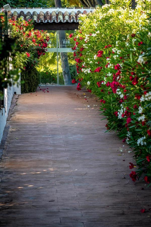 Marbella Banus Suites - Bird Of Paradise Playas Del Duque Banus Suite Apartment Exteriér fotografie